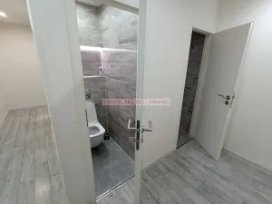 Pronájem bytu 1+1, Ostrava, U Haldy, 40 m2