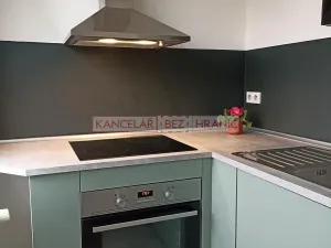 Pronájem bytu 1+1, Ostrava, U Haldy, 40 m2
