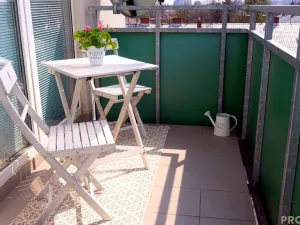 Pronájem bytu 1+kk, Olomouc, gen. Píky, 44 m2