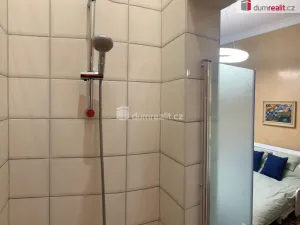 Pronájem bytu 1+1, Praha - Nové Město, Hálkova, 33 m2