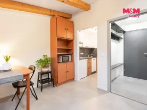 Prodej bytu 1+kk, Janov nad Nisou, 25 m2
