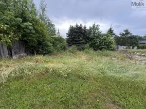 Prodej pozemku pro bydlení, Blažim, 1456 m2