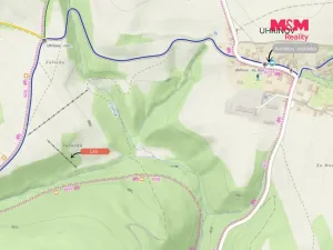 Prodej lesa, Hranice - Hranice IX-Uhřínov, 5050 m2