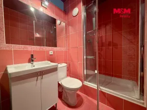 Prodej bytu 1+kk, Ústí nad Labem, Větrná, 19 m2