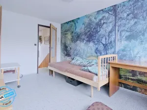 Prodej rodinného domu, Rýmařov, 205 m2