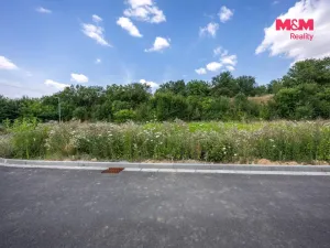 Prodej pozemku pro bydlení, Výšovice, 629 m2