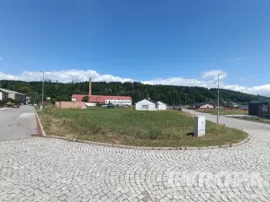 Prodej pozemku pro bydlení, Hostinné, 1131 m2