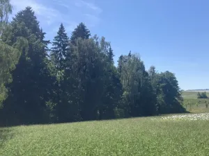 Prodej pole, Lomnice nad Popelkou - Želechy, 3130 m2