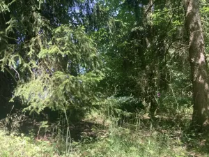 Prodej pole, Lomnice nad Popelkou - Želechy, 3130 m2