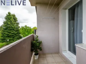 Pronájem bytu 3+1, Staré Sedliště, 66 m2