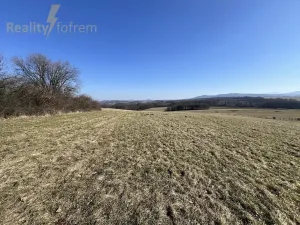 Prodej pole, Příbor, Politických vězňů, 98862 m2