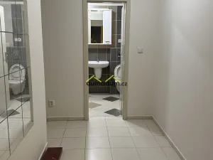 Pronájem bytu 1+kk, Praha, Štítného, 32 m2