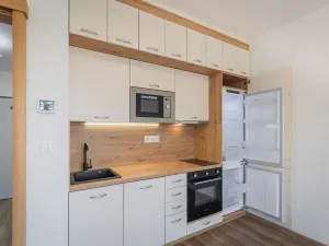 Prodej bytu 1+kk, Uničov, Pionýrů, 48 m2