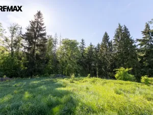 Prodej pozemku pro bydlení, Karlovy Vary, 3902 m2