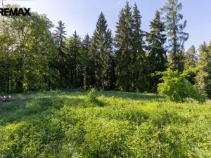 Prodej pozemku pro bydlení, Karlovy Vary, 3902 m2