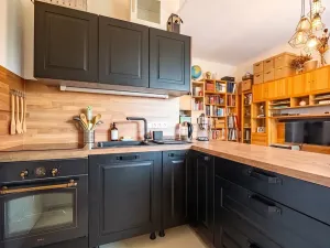 Prodej bytu 1+1, Brno, Pod kaštany, 49 m2