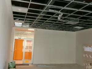 Pronájem kanceláře, Brno, Vídeňská, 65 m2