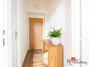 Prodej bytu 3+kk, Ústí nad Labem - Předlice, Řeháčkova, 65 m2