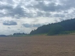 Prodej pole, Počepice, 49428 m2