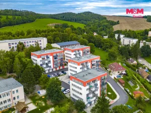 Pronájem bytu 1+kk, Plasy, U Václava, 38 m2