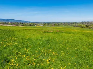 Prodej pozemku pro bydlení, Kaplice - Mostky, 600 m2