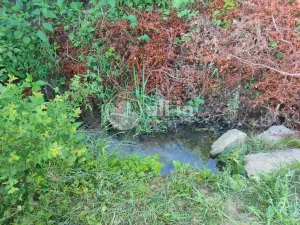 Prodej pozemku pro bydlení, Mouřínov, 1105 m2