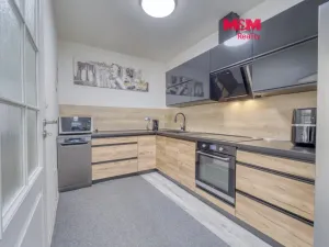 Prodej rodinného domu, Chotěšov, Starý mlýn, 353 m2