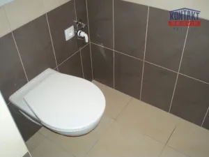 Pronájem bytu 2+kk, České Budějovice - České Budějovice 2, 42 m2