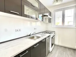 Pronájem bytu 3+1, Hodonín, Seifertova, 63 m2