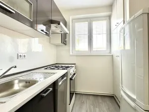 Pronájem bytu 3+1, Hodonín, Seifertova, 63 m2