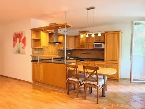 Pronájem bytu 3+kk, Benátky nad Jizerou, Platanová, 69 m2
