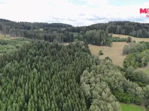Prodej chalupy, Dřešín - Chvalšovice, 90 m2