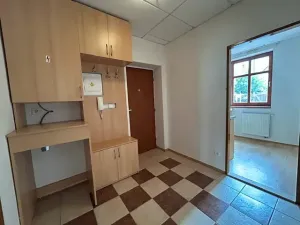 Prodej bytu 2+kk, Město Touškov, U Špejcharu, 48 m2