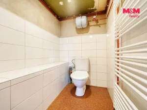 Prodej chaty, Horní Bříza, 53 m2