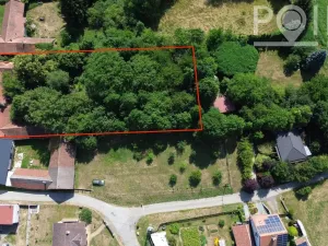 Prodej pozemku pro bydlení, Račice-Pístovice - Pístovice, 2894 m2