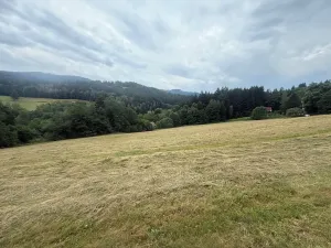 Prodej louky, Hamry, 84928 m2
