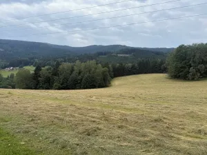Prodej louky, Hamry, 84928 m2