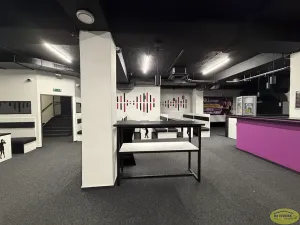 Pronájem komerční nemovitosti, Kroměříž, Křižná, 250 m2