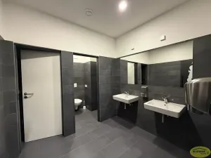 Pronájem komerční nemovitosti, Kroměříž, Křižná, 250 m2