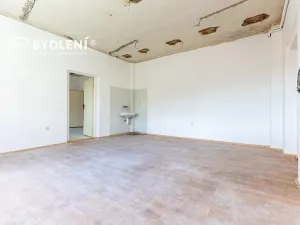 Prodej rodinného domu, Krupka, Horní, 314 m2