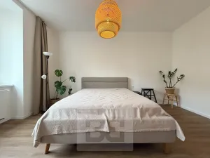 Pronájem bytu 2+kk, Praha - Žižkov, Biskupcova, 51 m2