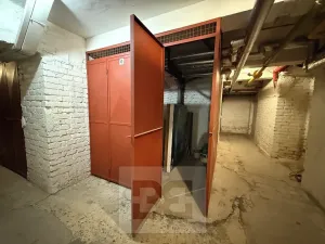 Pronájem bytu 2+kk, Praha - Žižkov, Biskupcova, 51 m2