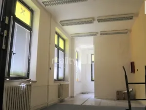 Pronájem obchodního prostoru, Ostrava - Hrabůvka, Dr. Martínka, 30 m2
