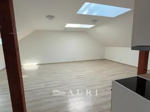 Pronájem bytu 1+kk, Rakovník, Havlíčkova, 58 m2