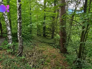 Prodej chaty, Kunčice pod Ondřejníkem, 48 m2