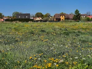 Prodej pozemku pro bydlení, Čejkovice, 901 m2