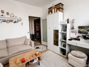 Pronájem bytu 2+1, Hodonín, Cihlářská čtvrť, 54 m2