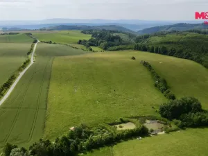 Prodej louky, Hranice, 18398 m2