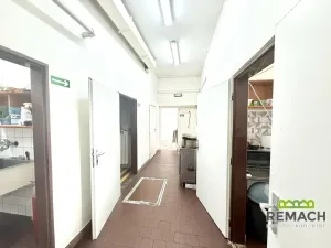 Pronájem obchodního prostoru, Staré Město, Luční čtvrť, 222 m2
