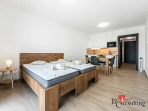 Pronájem bytu 1+kk, Olomouc - Nová Ulice, Třída Jiřího Pelikána, 33 m2
